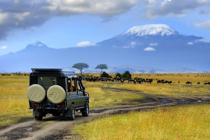 How African Safaris and Travel May change after Covid-19 or Corona Virus Pandemic