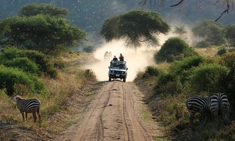 National Parks in Tanzania