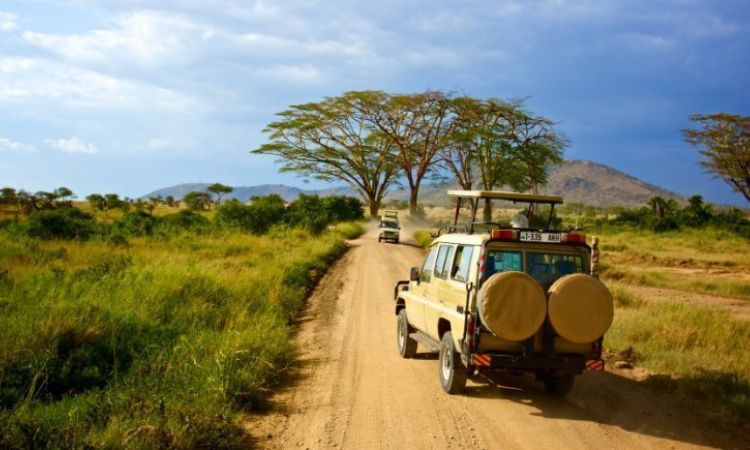 National Parks in Tanzania