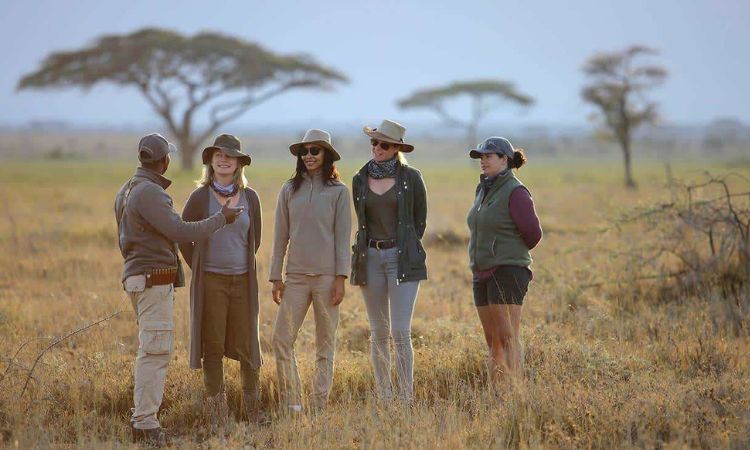 What is the role of a safari guide