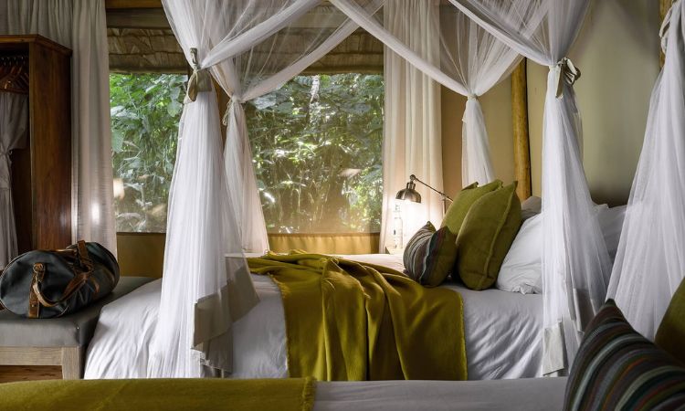 Best Lodges in Bwindi Impenetrable National Park