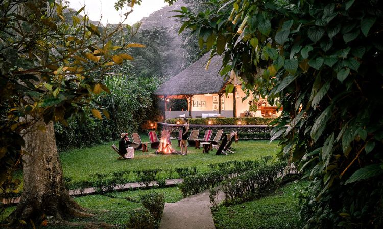 Bwindi Impenetrable National Park Lodges