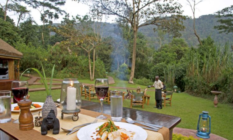 Sanctuary Gorilla Forest Camp Photos