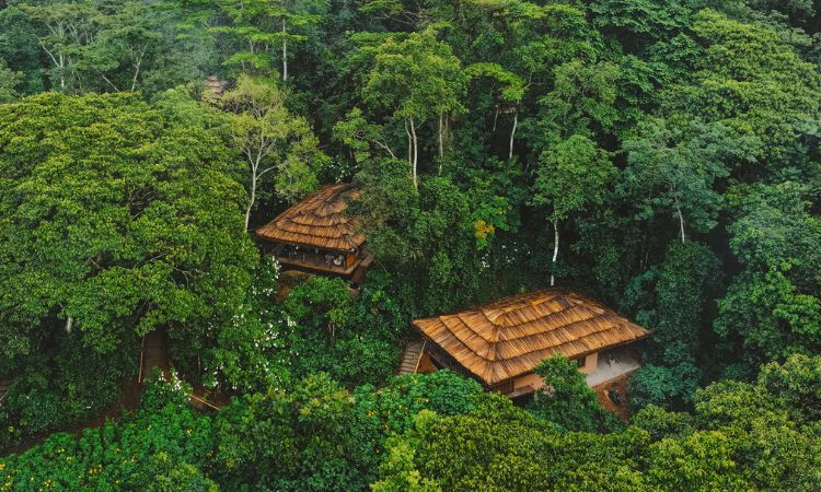 Sanctuary Gorilla Forest Camp