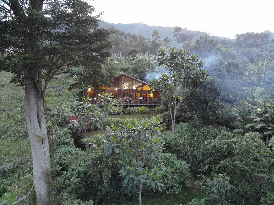 Mahogany Springs Lodge