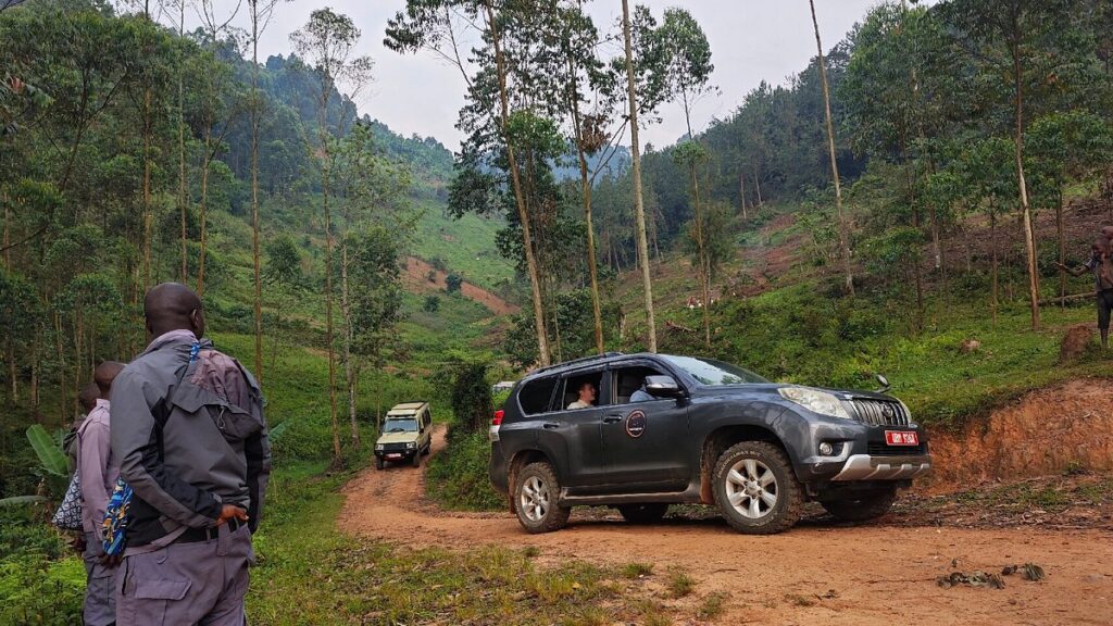 How Long Does It Take to Drive from Entebbe to Bwindi