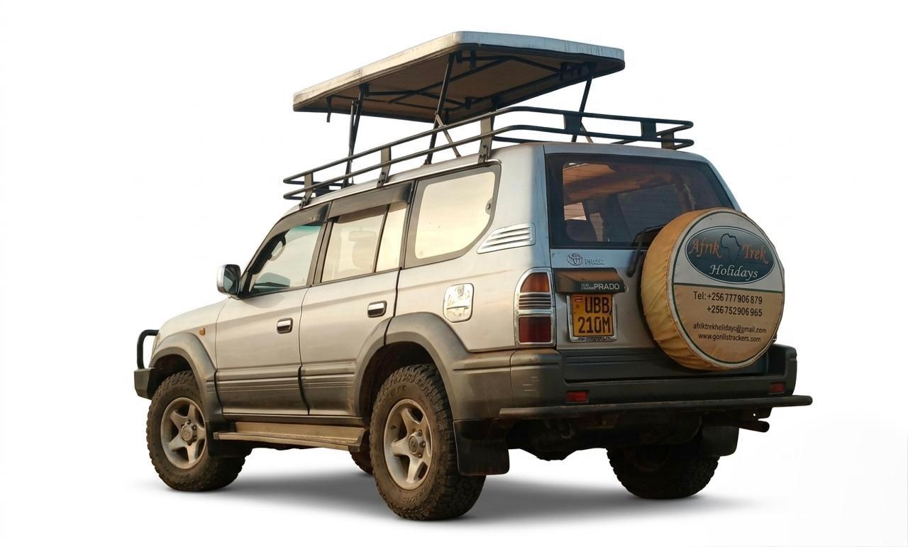 4x4 safari Land Cruiser Pop-up Roof for game drive