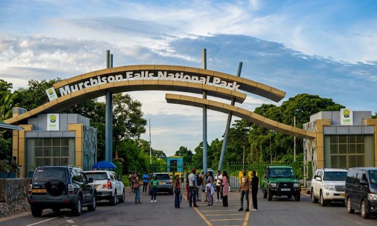 Self-Drive to Murchison Falls National Park